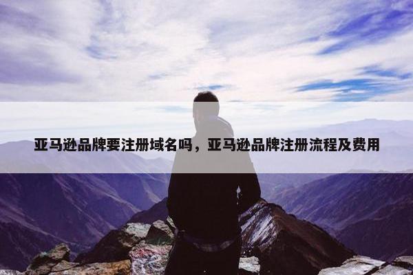 亚马逊品牌要注册域名吗，亚马逊品牌注册流程及费用