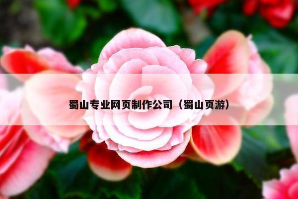 蜀山专业网页制作公司（蜀山页游）