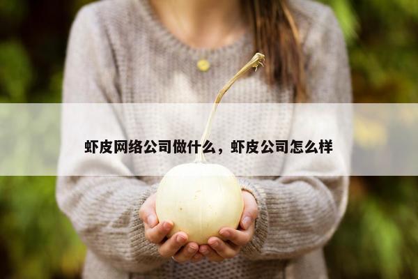 虾皮网络公司做什么，虾皮公司怎么样