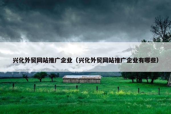 兴化外贸网站推广企业（兴化外贸网站推广企业有哪些）
