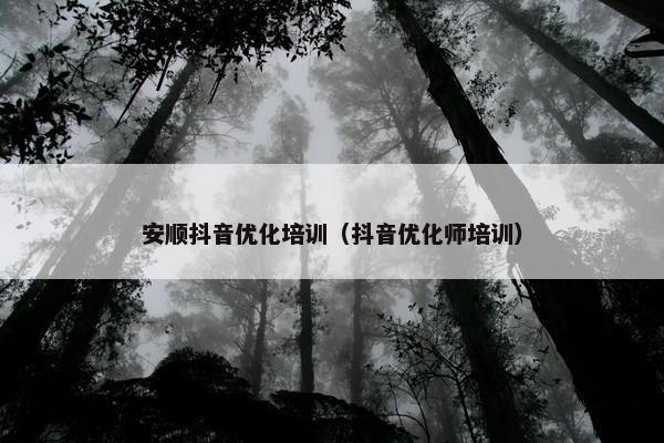 安顺抖音优化培训（抖音优化师培训）