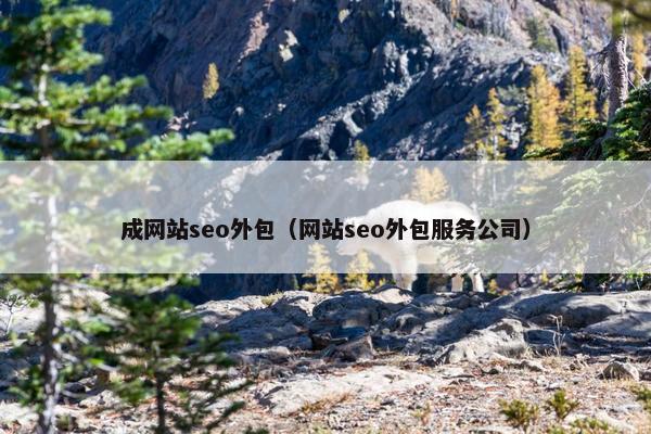 成网站seo外包（网站seo外包服务公司）