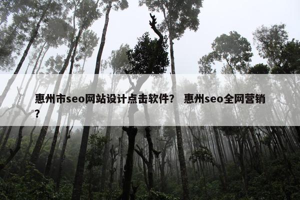 惠州市seo网站设计点击软件？ 惠州seo全网营销？