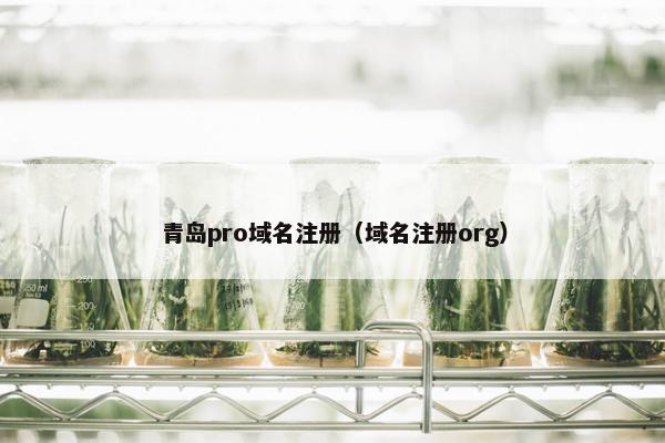 青岛pro域名注册（域名注册org）