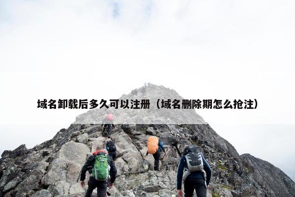 域名卸载后多久可以注册（域名删除期怎么抢注）
