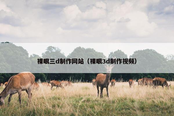 裸眼三d制作网站（裸眼3d制作视频）