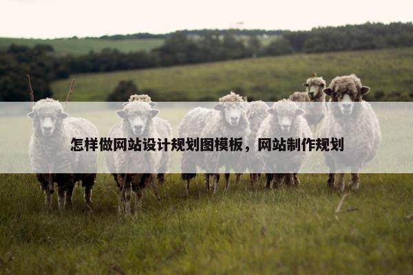 怎样做网站设计规划图模板，网站制作规划