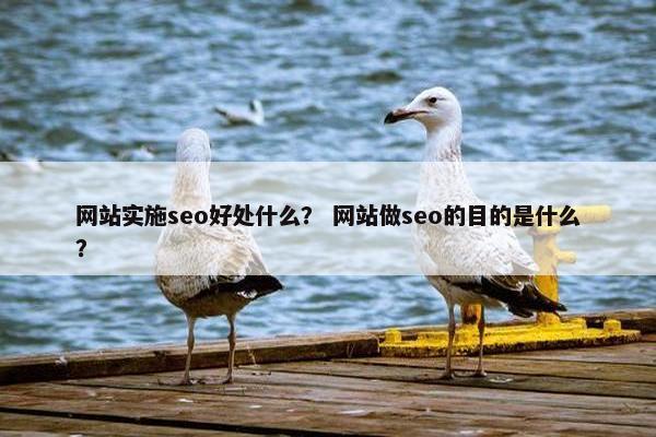 网站实施seo好处什么？ 网站做seo的目的是什么？