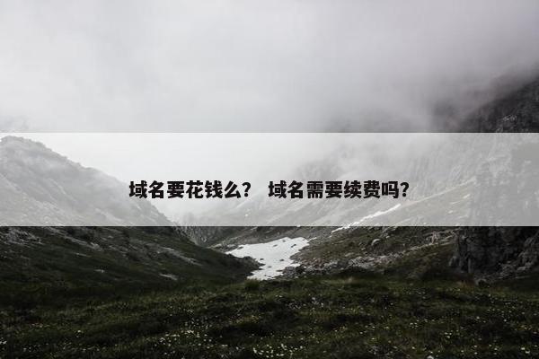 域名要花钱么？ 域名需要续费吗？