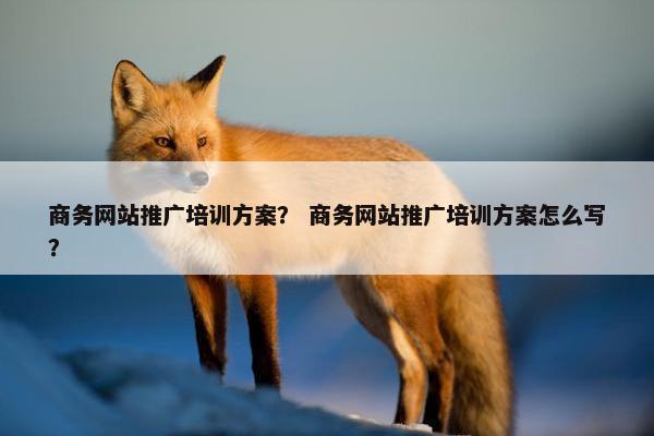 商务网站推广培训方案？ 商务网站推广培训方案怎么写？