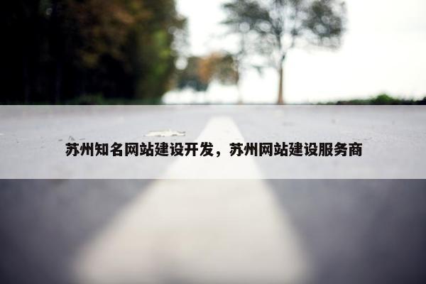 苏州知名网站建设开发，苏州网站建设服务商