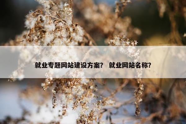 就业专题网站建设方案？ 就业网站名称？
