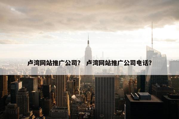 卢湾网站推广公司？ 卢湾网站推广公司电话？