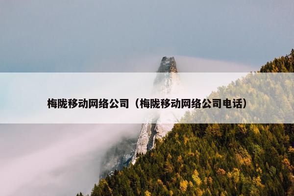 梅陇移动网络公司（梅陇移动网络公司电话）
