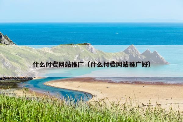 什么付费网站推广（什么付费网站推广好）