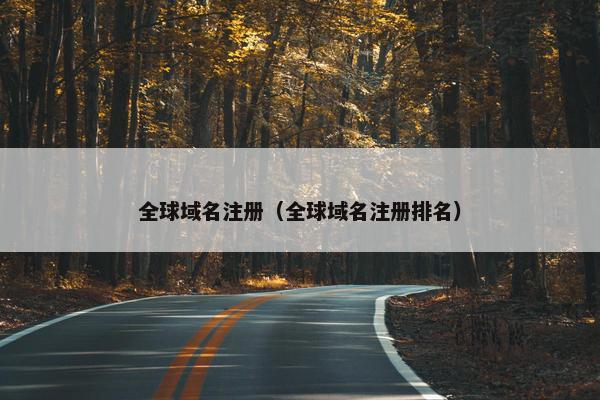 全球域名注册（全球域名注册排名）