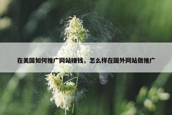 在美国如何推广网站赚钱，怎么样在国外网站做推广