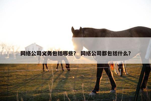 网络公司义务包括哪些？ 网络公司都包括什么？