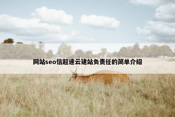 网站seo信超速云建站负责任的简单介绍