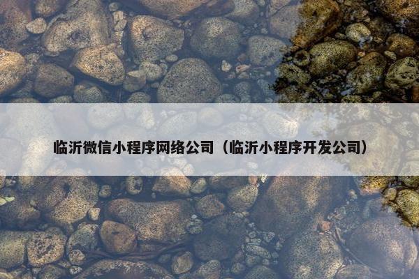 临沂微信小程序网络公司（临沂小程序开发公司）