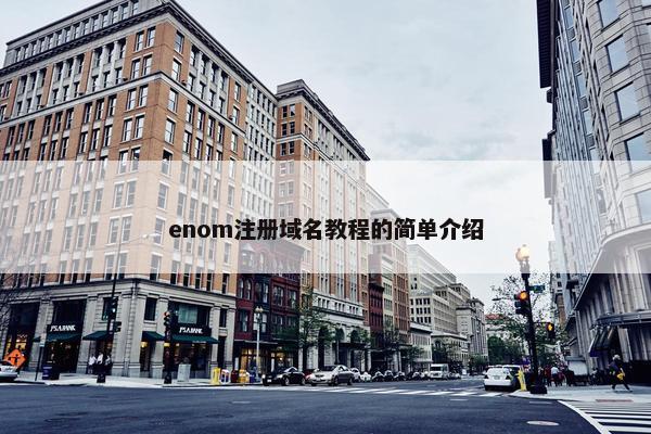 enom注册域名教程的简单介绍