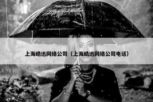 上海皓迅网络公司（上海皓迅网络公司电话）