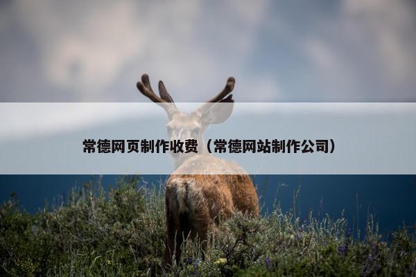 常德网页制作收费（常德网站制作公司）