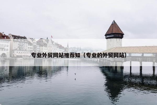 专业外贸网站推荐知（专业的外贸网站）