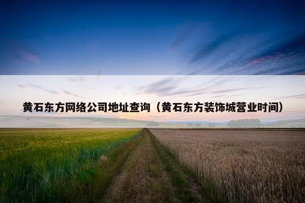 黄石东方网络公司地址查询（黄石东方装饰城营业时间）