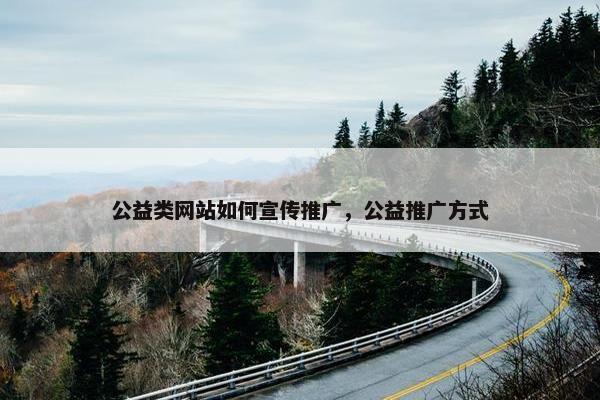 公益类网站如何宣传推广，公益推广方式