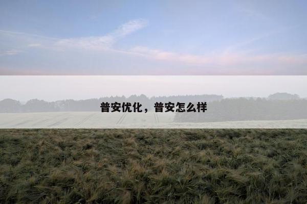 普安优化，普安怎么样