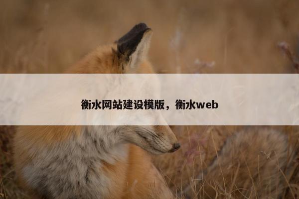 衡水网站建设模版，衡水web