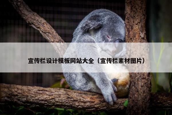 宣传栏设计模板网站大全（宣传栏素材图片）