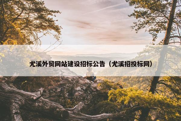 尤溪外贸网站建设招标公告（尤溪招投标网）