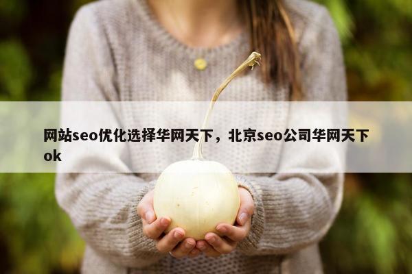 网站seo优化选择华网天下，北京seo公司华网天下ok