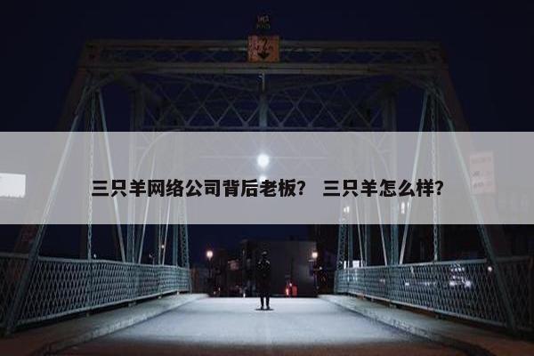 三只羊网络公司背后老板？ 三只羊怎么样？