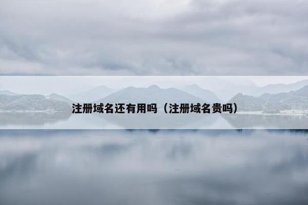 注册域名还有用吗（注册域名贵吗）
