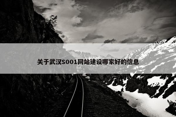 关于武汉S001网站建设哪家好的信息