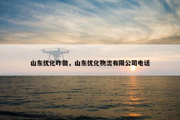 山东优化咋做，山东优化物流有限公司电话