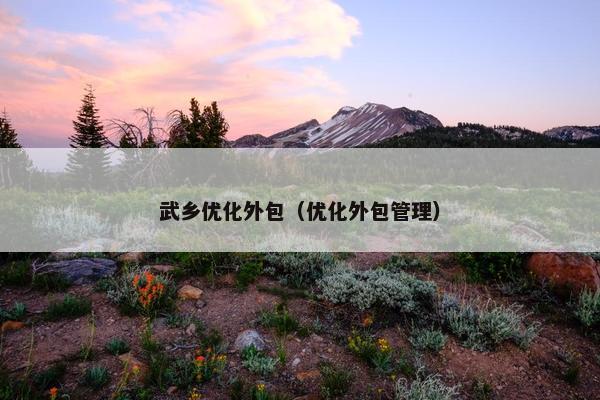 武乡优化外包（优化外包管理）