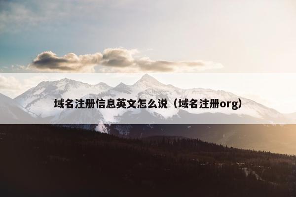 域名注册信息英文怎么说（域名注册org）