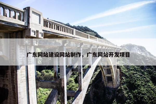 广东网站建设网站制作，广东网站开发项目