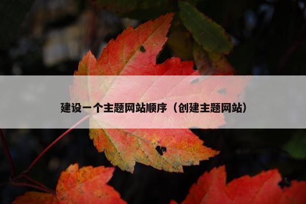建设一个主题网站顺序（创建主题网站）