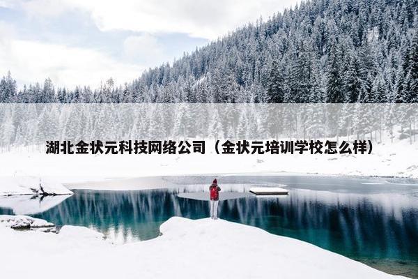 湖北金状元科技网络公司（金状元培训学校怎么样）