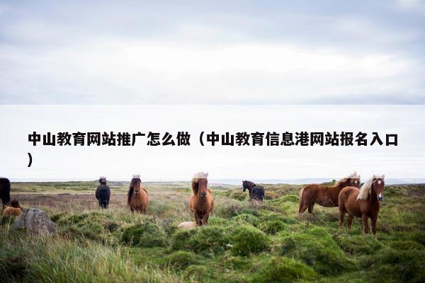 中山教育网站推广怎么做（中山教育信息港网站报名入口）