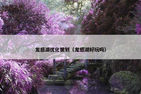 龙感湖优化策划（龙感湖好玩吗）