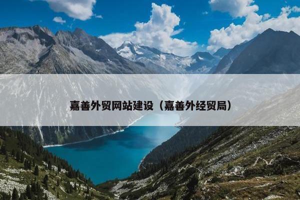 嘉善外贸网站建设（嘉善外经贸局）