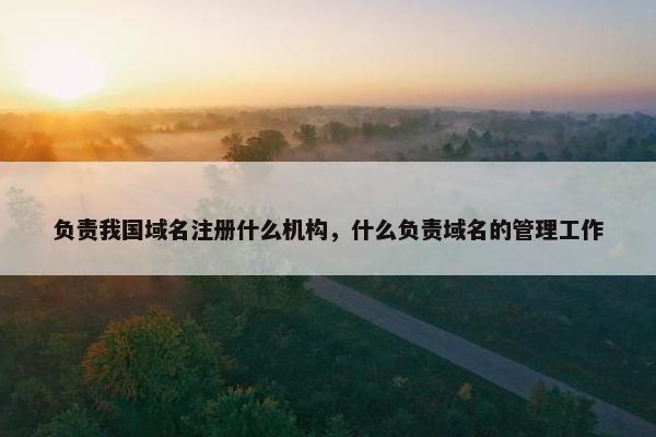 负责我国域名注册什么机构，什么负责域名的管理工作