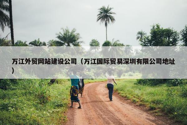 万江外贸网站建设公司（万江国际贸易深圳有限公司地址）