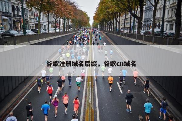 谷歌注册域名后缀，谷歌cn域名